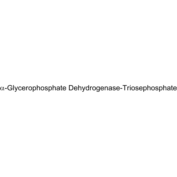 α-Glycerophosphate Dehydrogenase-Triosephosphate